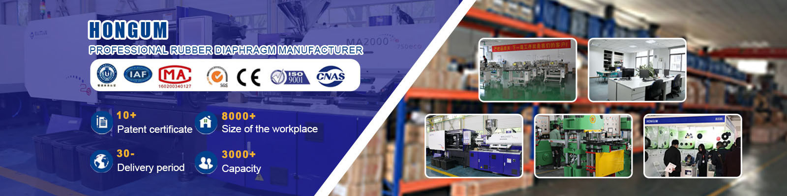 정량 펌프 진동판