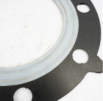 PTFE Rubber Flange Gasket Pharmaceutical Food Chemical  Cladding