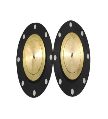 Electrical Insulation Mini PTFE Diaphragm For Metering Pump diaphragm dosing pump