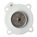 C113685 C113686 ASCO Pulse Valve Diaphragm SCG353A050 SCG353A051