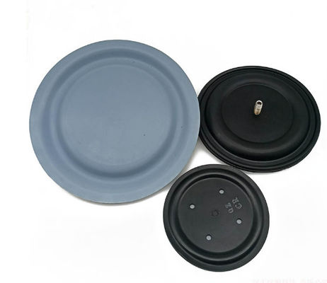 사용자 지정 측정 펌프 대막