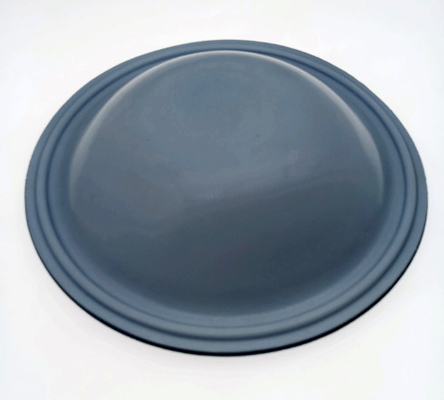 펌프 다이어프램 PTFE 사로잡힌 EPDM 가스킷을 재는 밀톤 로이 GM